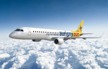 indigo takes delivery of 100th airbus 320; celebrates with the